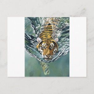 Postal ¡Danger Ahoy!