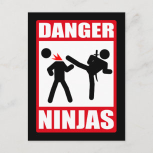 Postal Danger Ninjas