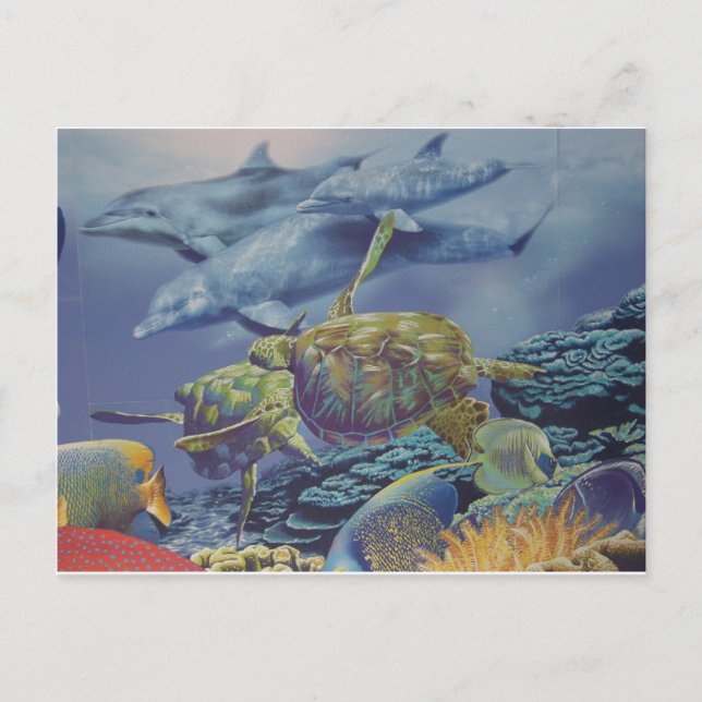 Postal Danza de delfines con peces tropicales (Anverso)