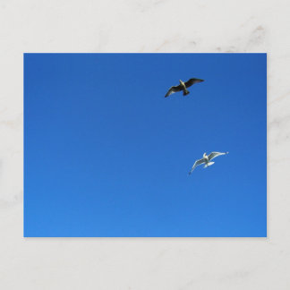 Postal danza de la libertad