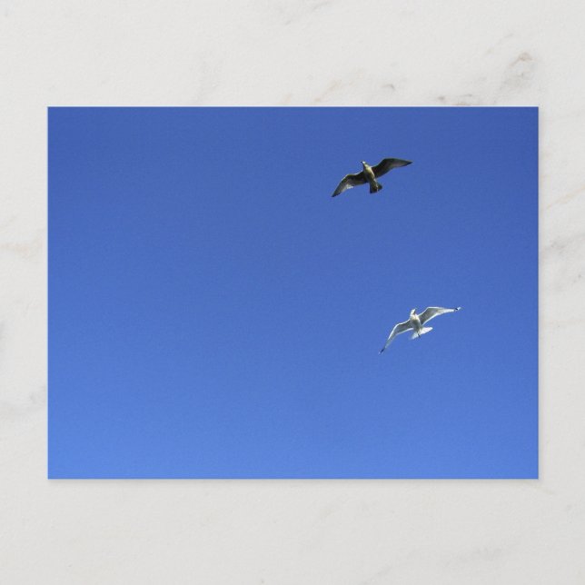 Postal danza de la libertad (Anverso)