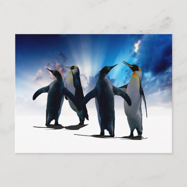 Postal Danza de los pingüinos (Anverso)