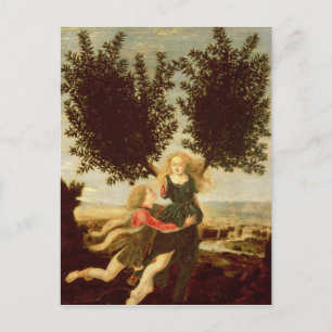Postal Daphne y Apollo, c.1470-80