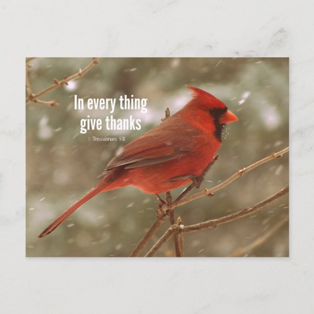 Postal Dar gracias al verso de la Biblia (Anverso)