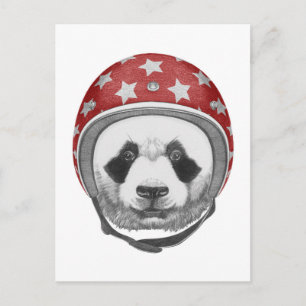 Postal Daredevil Panda