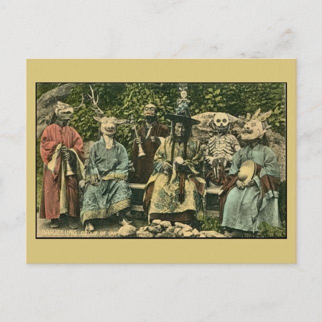Postal Darjeeling vintage, grupo de lamas (Anverso)