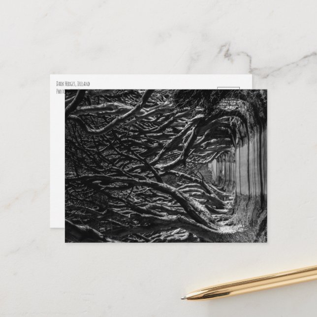 Postal Dark Hedges Ireland (Anverso/Reverso In Situ)