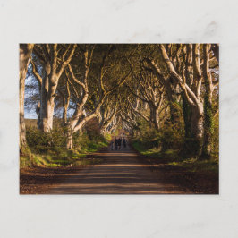 Postal Dark Hedges Ireland