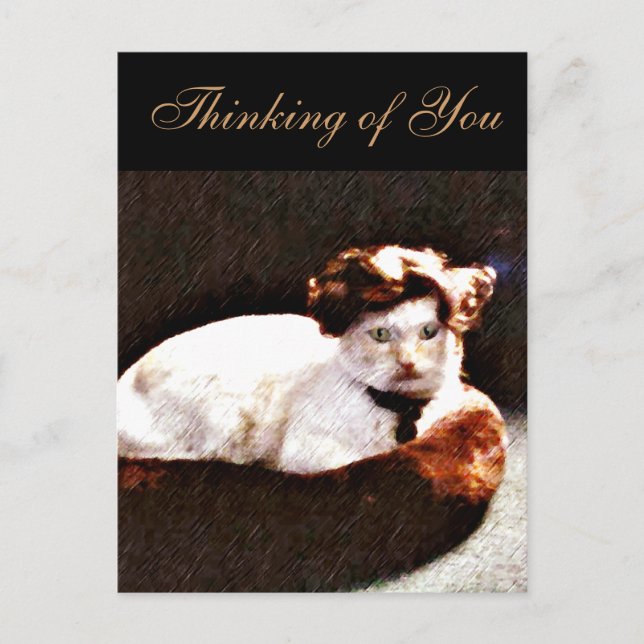 Postal Darling, Cat_ (Anverso)