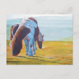 Postal Dartmoor Ponies y Misty Paisajes