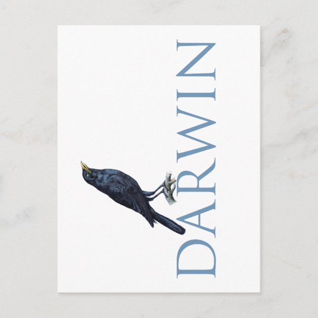 Postal Darwin (Anverso)