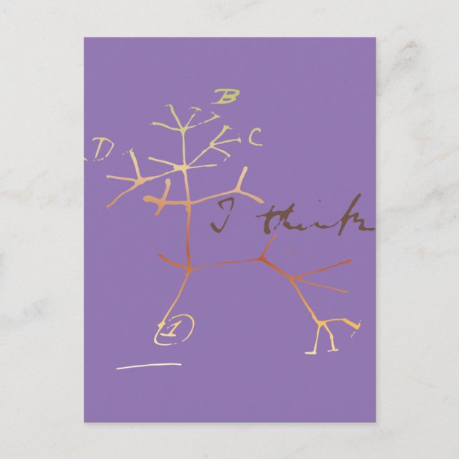 Postal Darwin árbol de la vida: Creo (Anverso)