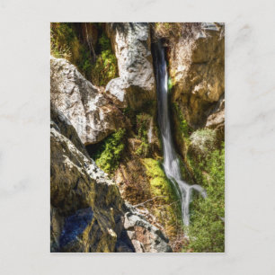 Postal Darwin Falls