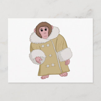 Postal Darwin que Ikea Monkey
