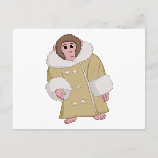 Postal Darwin que Ikea Monkey (Anverso)