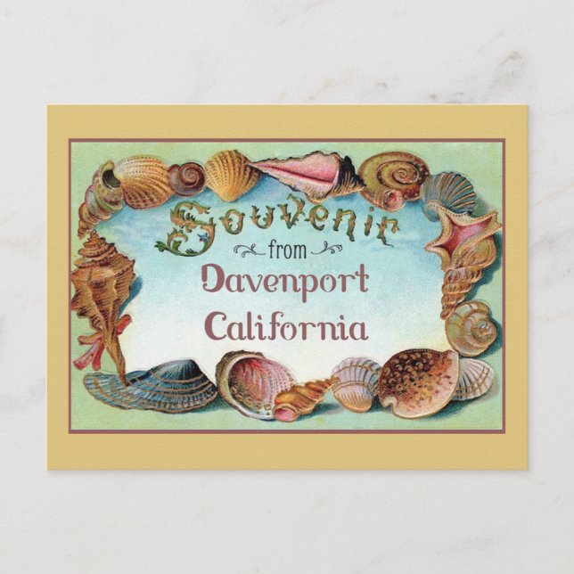 Postal Davenport California Seashells Vintage Travel (Anverso)
