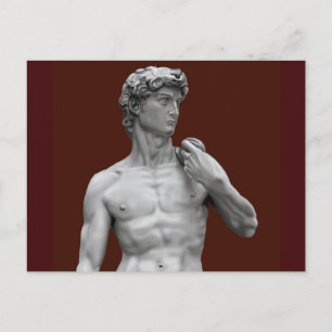 Postal David Illustrated Postcard