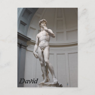 Postal David por Michelangelo- Florencia