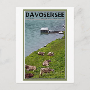 Postal Davos - Las vacas a la orilla del lago