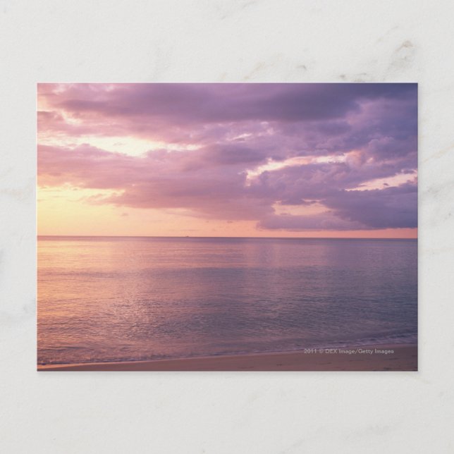 Postal Dawn se encuentra con la playa (Anverso)