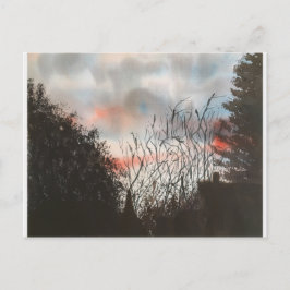 POSTAL DAY BREAK , POSTCARD