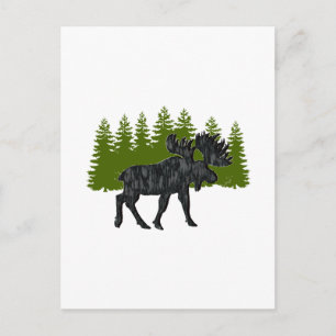 POSTAL DAYDREAM STROLL