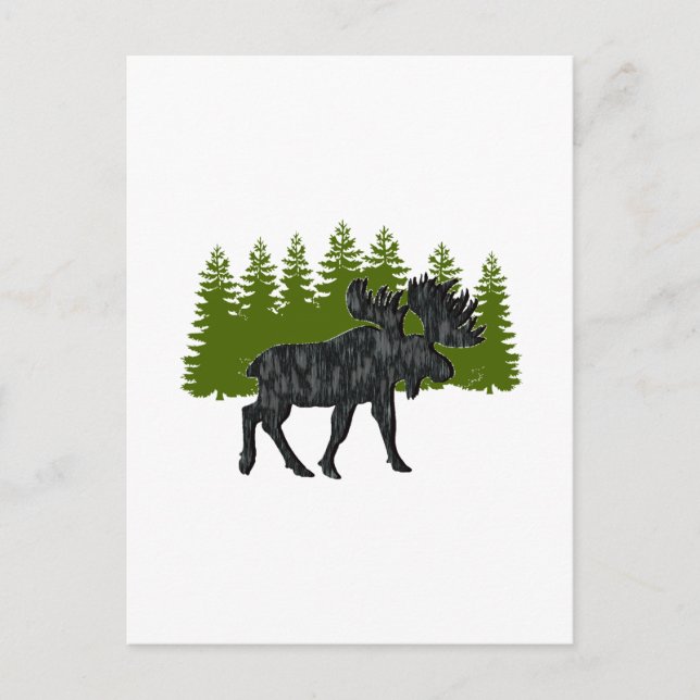 POSTAL DAYDREAM STROLL (Anverso)