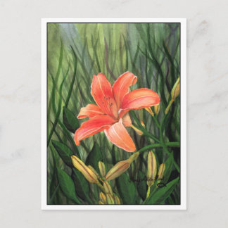 Postal Daylily Postcard