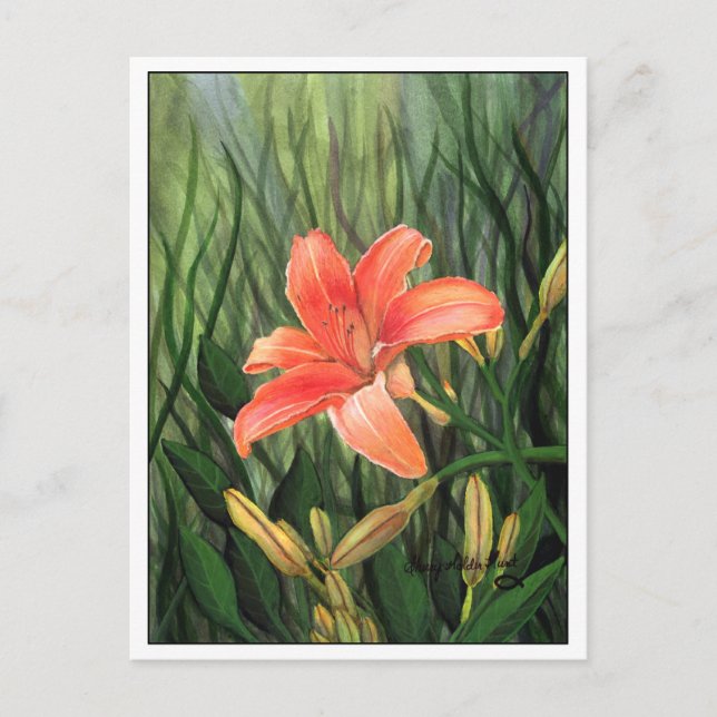 Postal Daylily Postcard (Anverso)