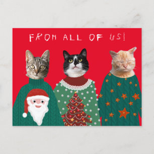 Postal de 3 gatos con Navidades feos y sudaderas