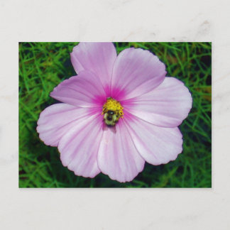 Postal de abeja ocupada