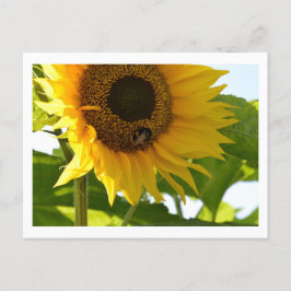 Postal de abeja y girasol