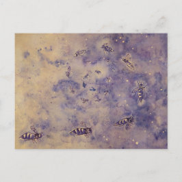 Postal de abejas espaciales