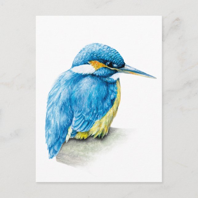 Postal de acuarela de arte fino de Kingfisher (Anverso)