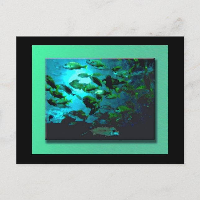 Postal de acuario GA (Anverso)