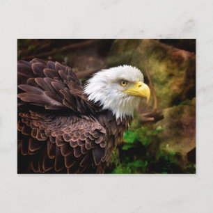 Postal de águila