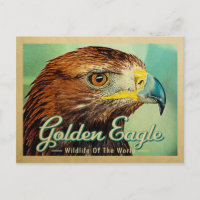 Postal de águila dorada - Vida salvaje del pájaro 
