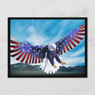 Postal de águila estadounidense 2