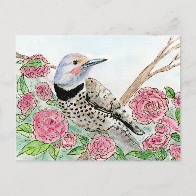 Postal de Alabama (Anverso)