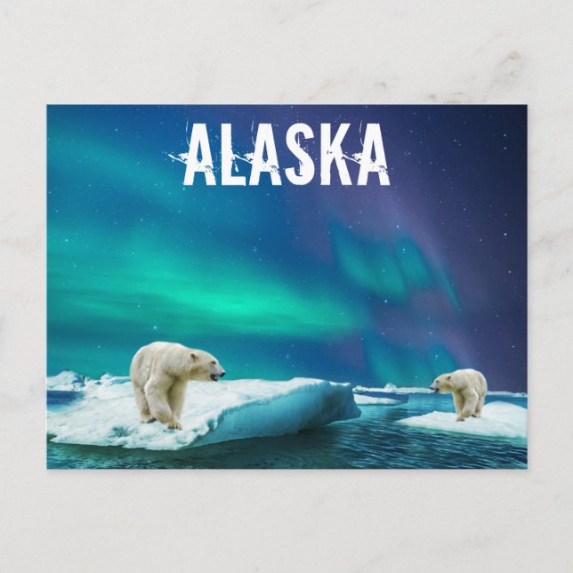 Postal de Alaska con osos polares Aurora Borealis (Anverso)