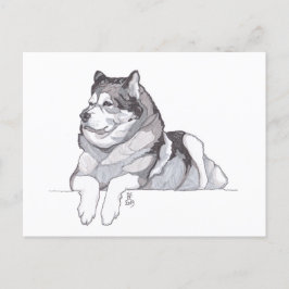 Postal de Alaska Malamute 2019