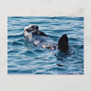 Postal de Alaska Otter totalmente Lovely