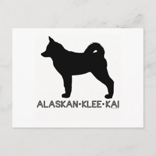Postal de Alaskan Klee Kai