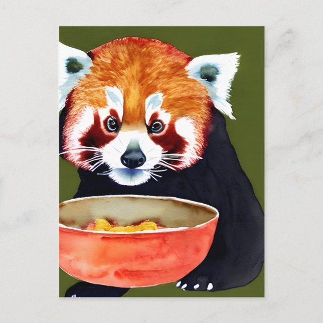 Postal de alimentación de Panda rojo (Anverso)