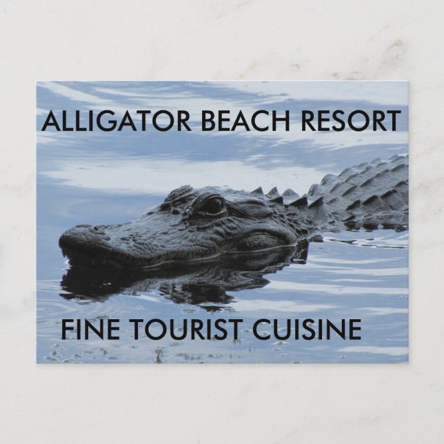Postal de Alligator Beach Resort (Anverso)