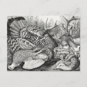 Postal de "American Forest Game"