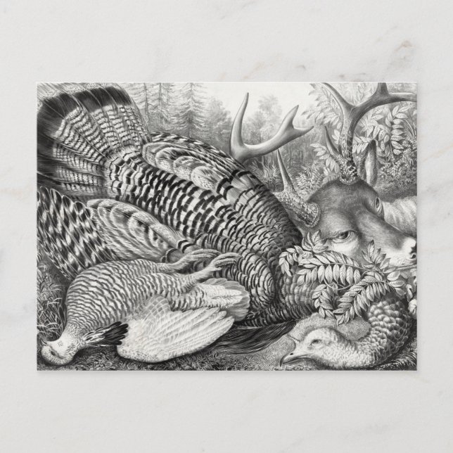 Postal de "American Forest Game" (Anverso)