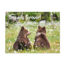 Postal de amigos para siempre