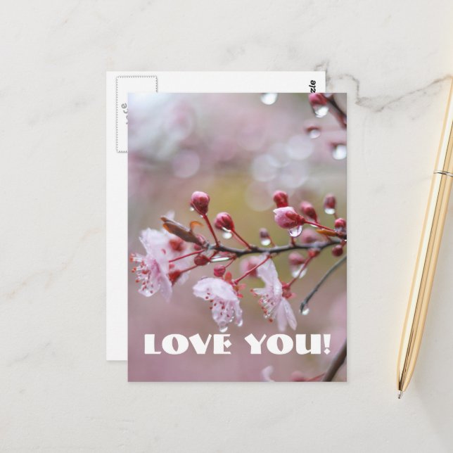 Postal de amor (Anverso/Reverso In Situ)