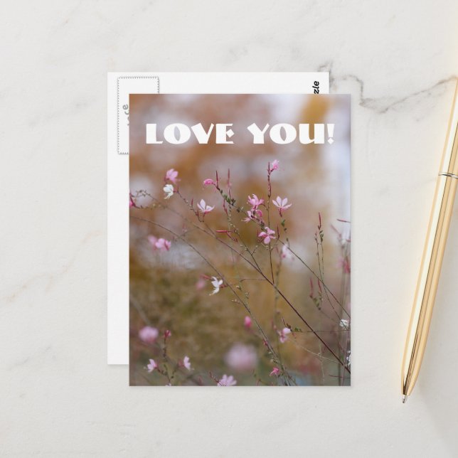 Postal de amor (Anverso/Reverso In Situ)